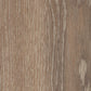 Mflor - Authentic Parva Oak XL - 46413 - Calabria - Dryback