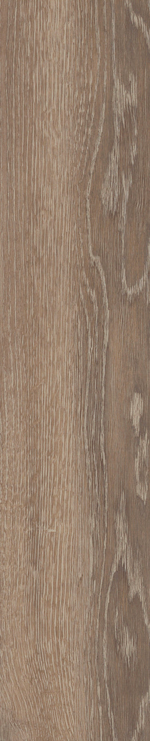 Mflor - Authentic Parva Oak XL - 46413 - Calabria - Dryback