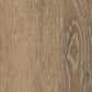 Mflor - Authentic Parva Oak XL - 46415 - Apulia - Dryback
