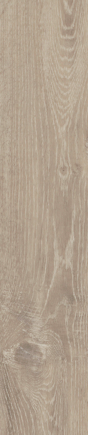 Mflor - Authentic Parva Oak XL - 46419 - Sardinia - Dryback