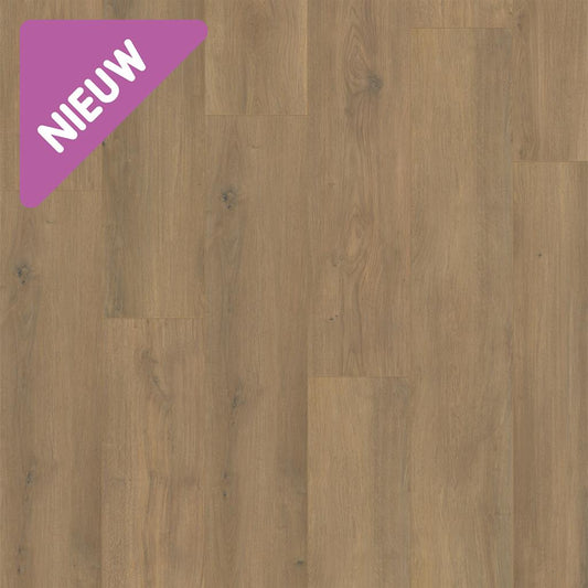 Douwes Dekker - Laminate - Elegant - 05065 - Elegant Spacious Plank Basil