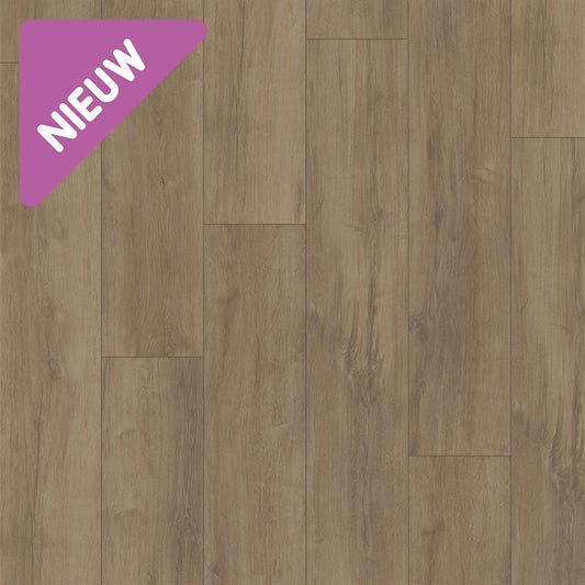 Douwes Dekker - Laminate - Elegant - 05065 - Elegant Spacious Plank Basil