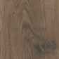 Mflor - Bramster Chestnut - 81601 - Nutmeg - Dryback