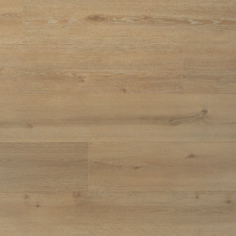 Douwes Dekker - Laminaat - Trots - 04682 - Solide Plank Laurier