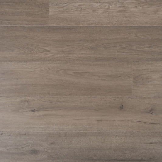 Douwes Dekker - Laminate - Elegant - 05066 - Elegant Spacious Plank Cumin