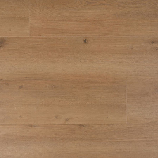 Douwes Dekker - Laminate - Elegant - 05066 - Elegant Spacious Plank Cumin