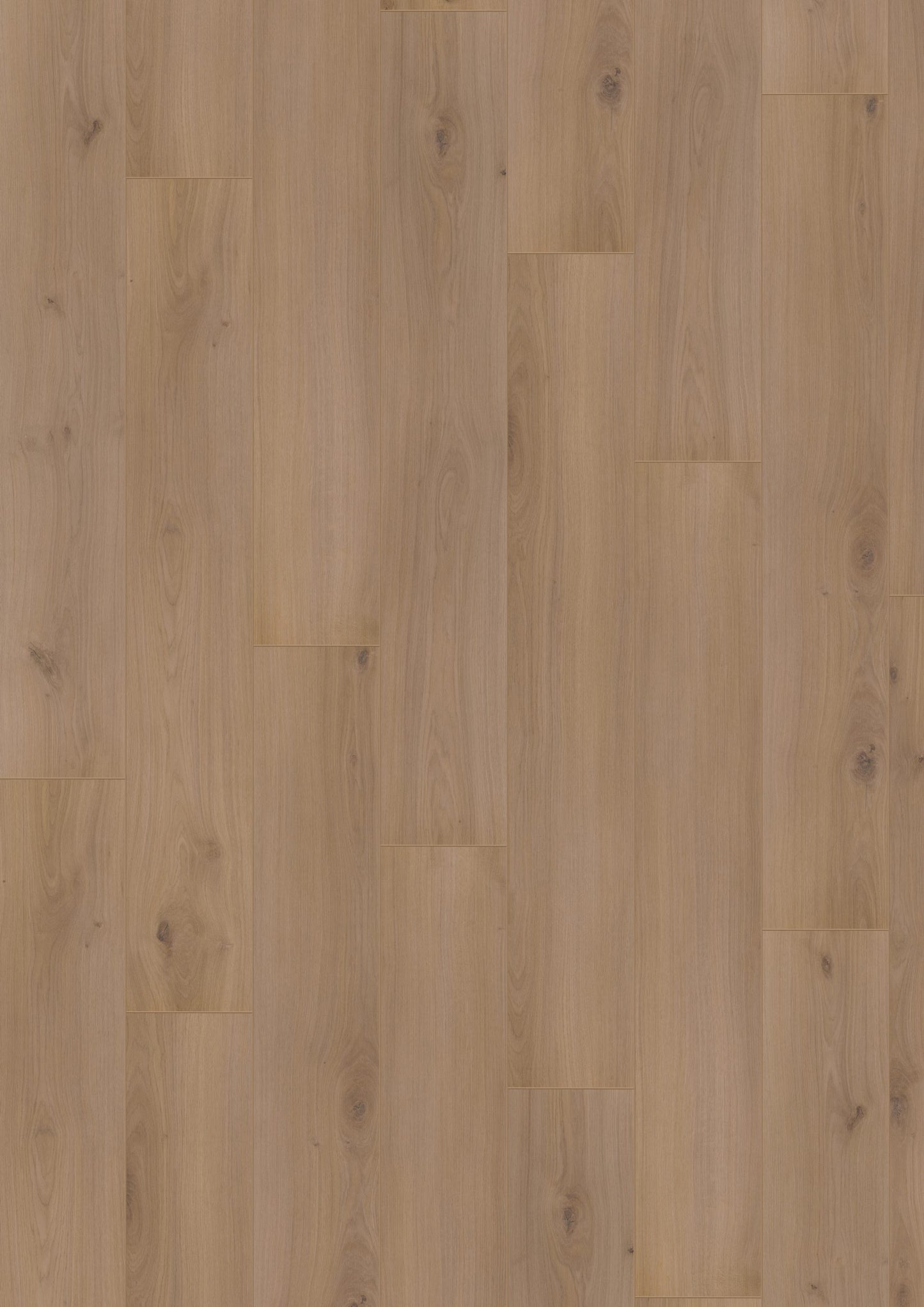 Douwes Dekker - Laminate - Elegant - 05065 - Elegant Spacious Plank Basil