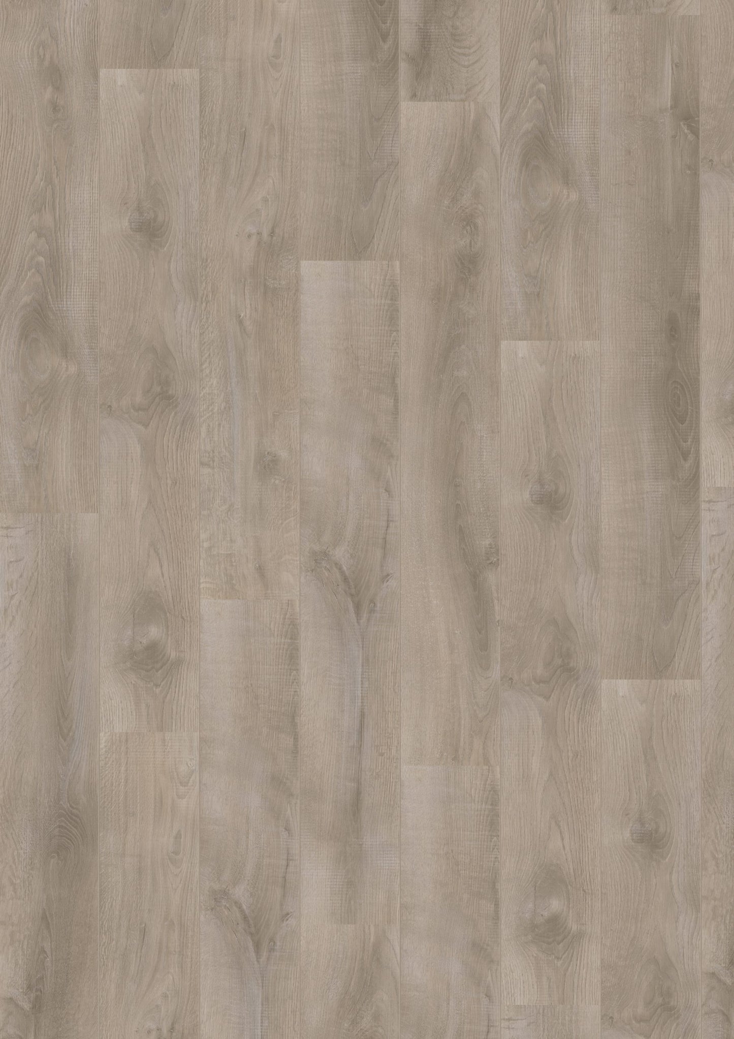 Douwes Dekker - Laminate - Elegant - 05065 - Elegant Spacious Plank Basil