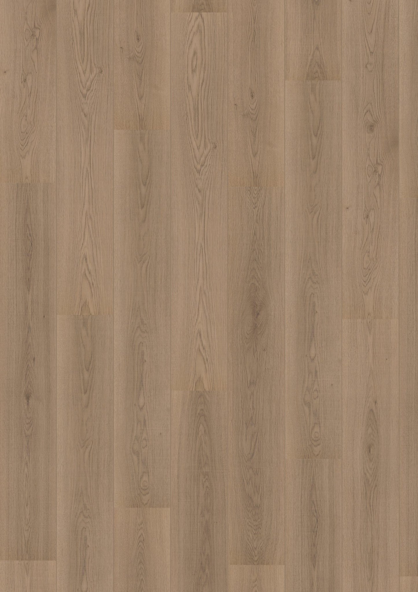 Douwes Dekker - Laminate - Elegant - 05065 - Elegant Spacious Plank Basil