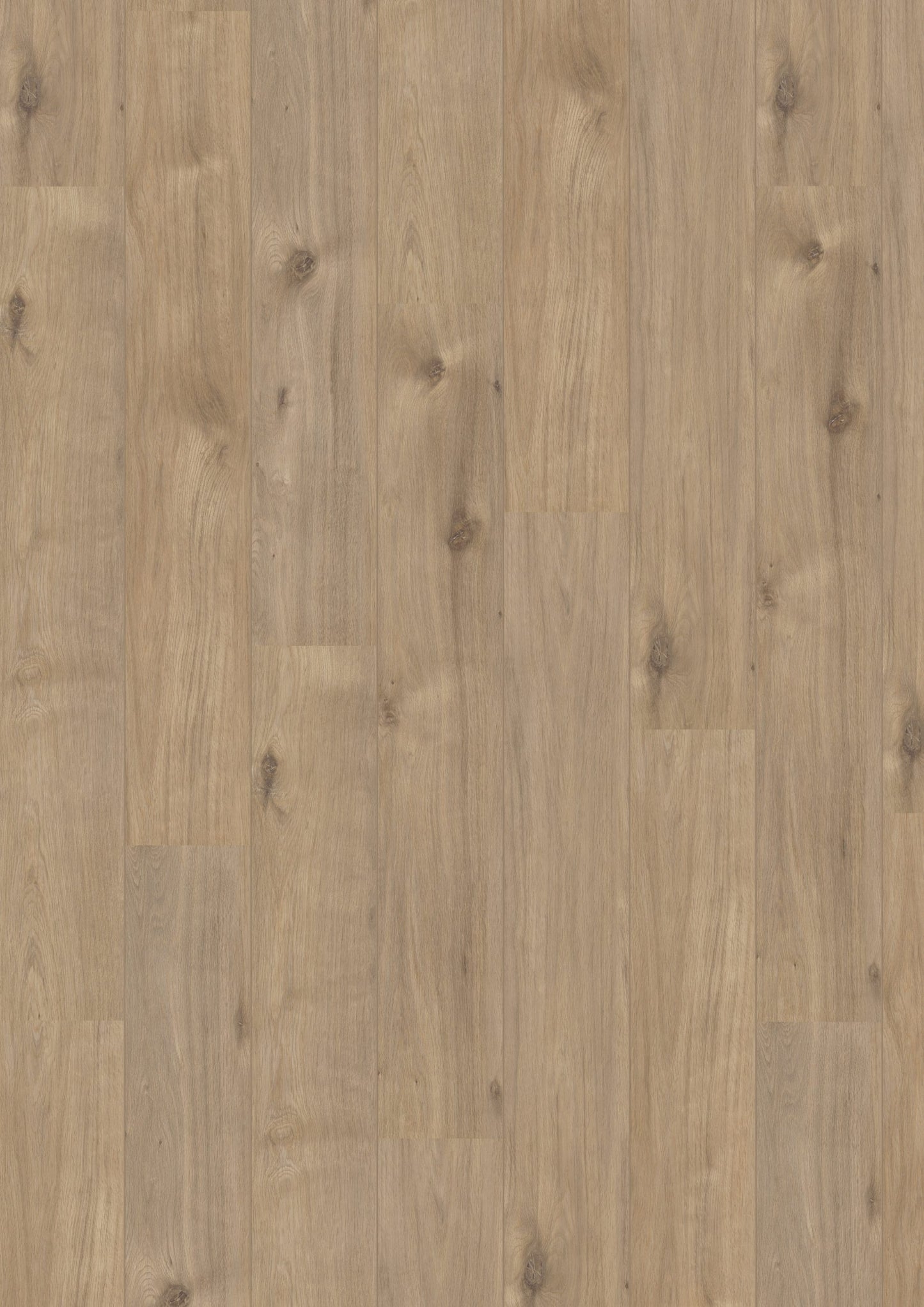 Douwes Dekker - Laminate - Elegant - 05065 - Elegant Spacious Plank Basil