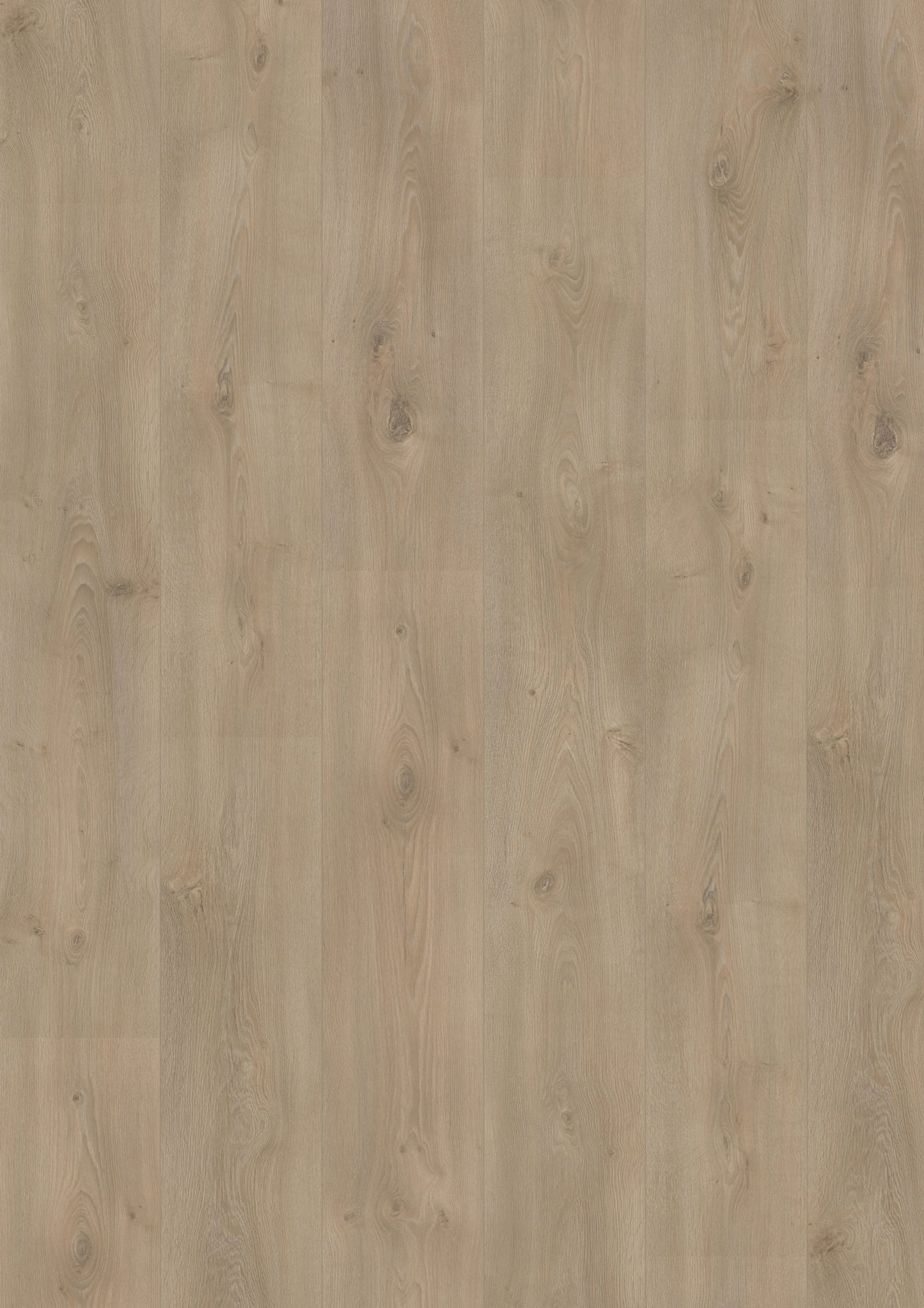 Douwes Dekker - Laminate - Elegant - 05065 - Elegant Spacious Plank Basil