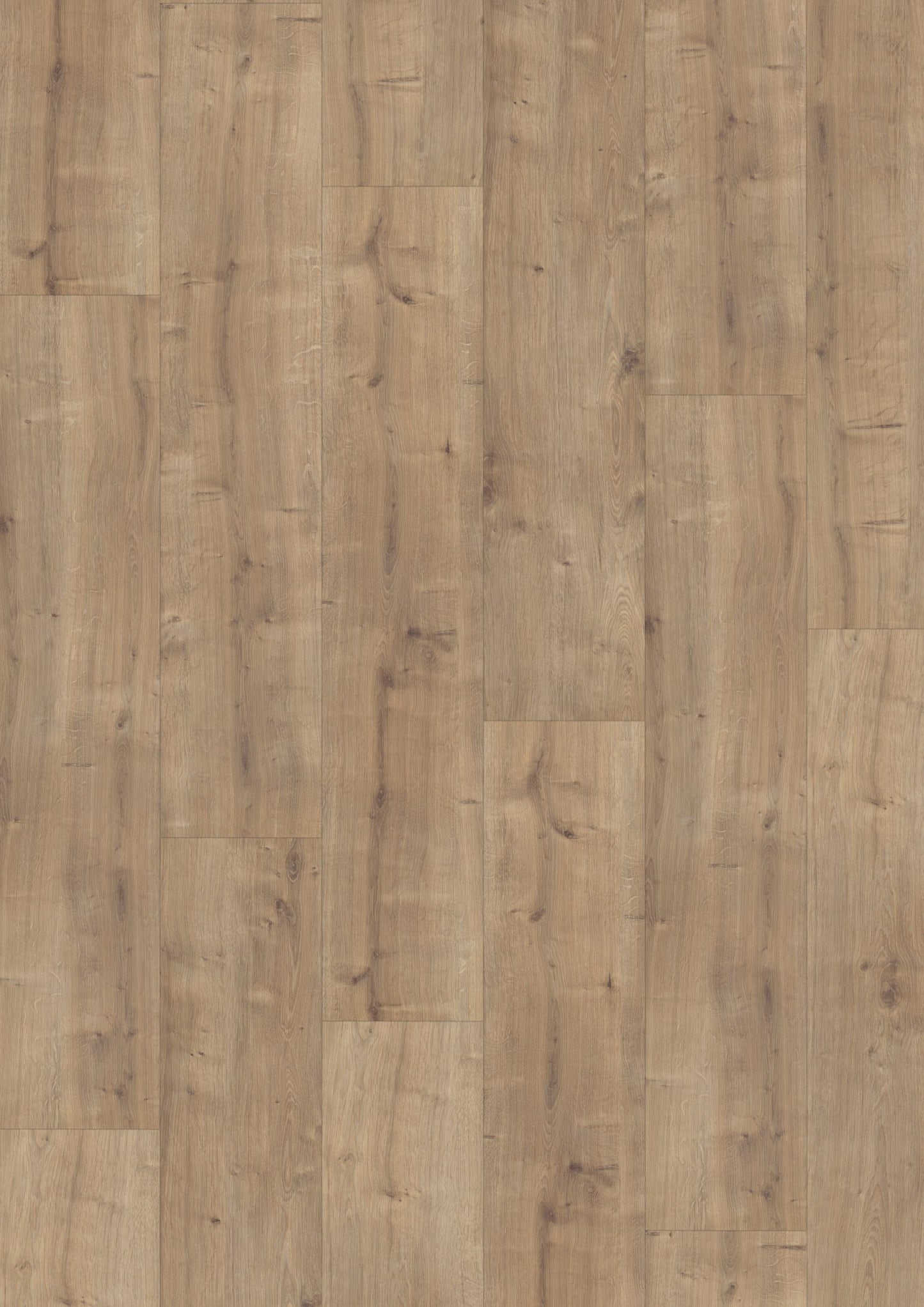 Douwes Dekker - Laminate - Elegant - 05065 - Elegant Spacious Plank Basil