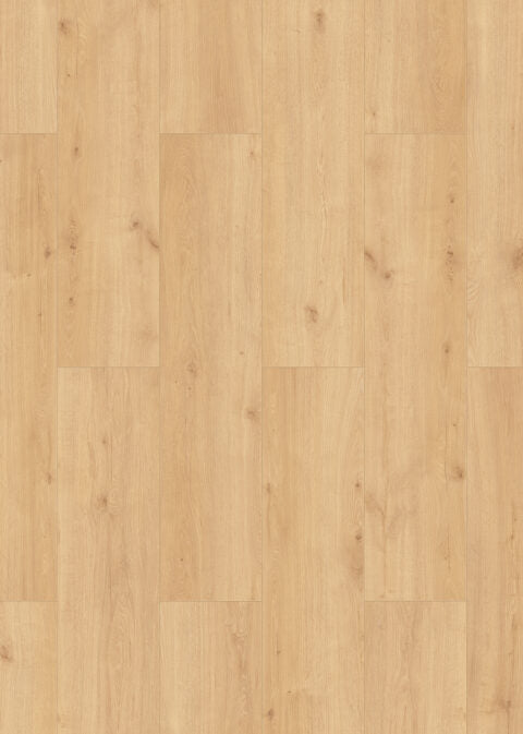 Douwes Dekker - Laminate - Elegant - 05065 - Elegant Spacious Plank Basil