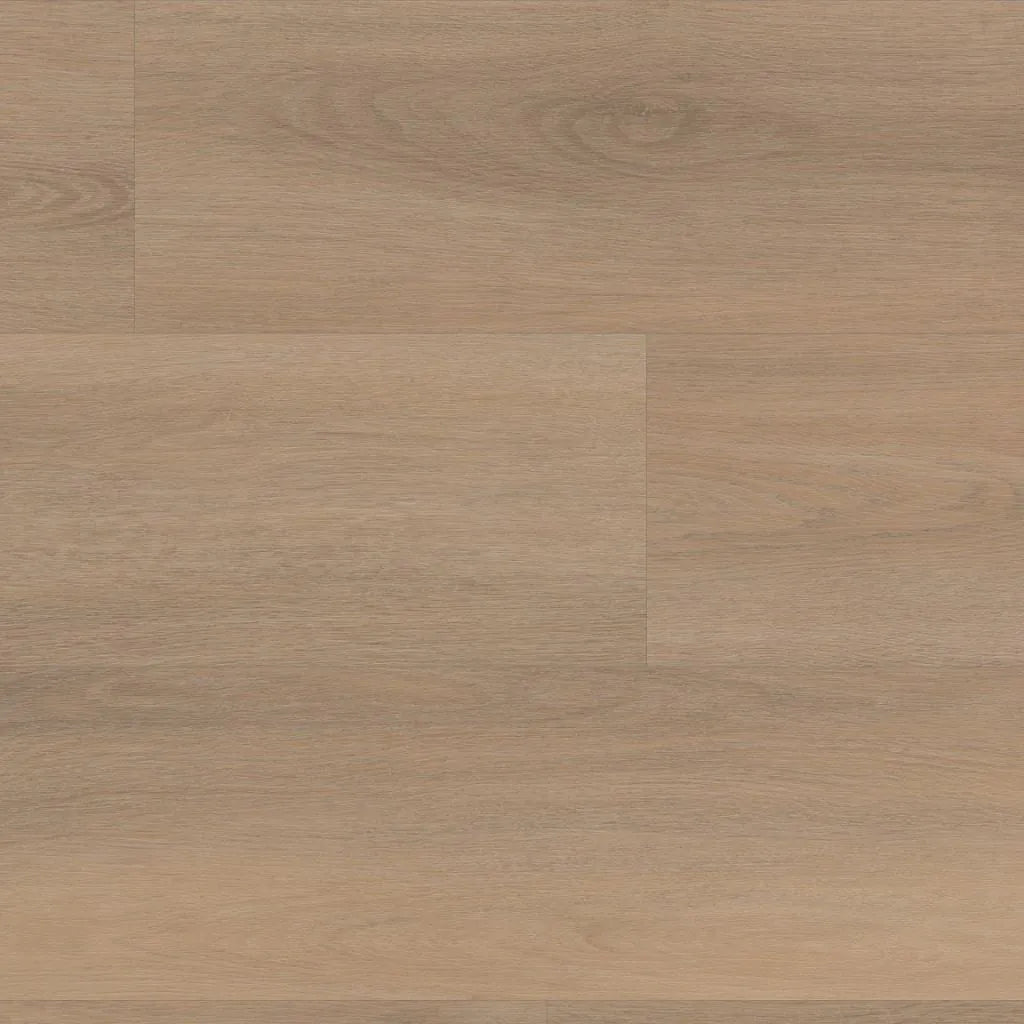 Douwes Dekker - Laminate - Elegant - 05065 - Elegant Spacious Plank Basil