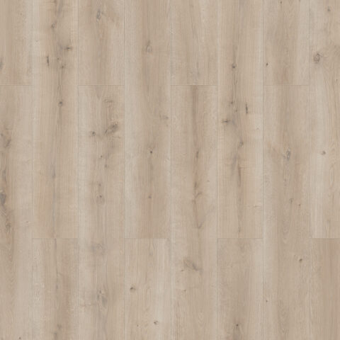 Douwes Dekker - Laminate - Elegant - 05065 - Elegant Spacious Plank Basil