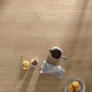 Floorify - Mint Long Shelf - F017 - Champagne - F017